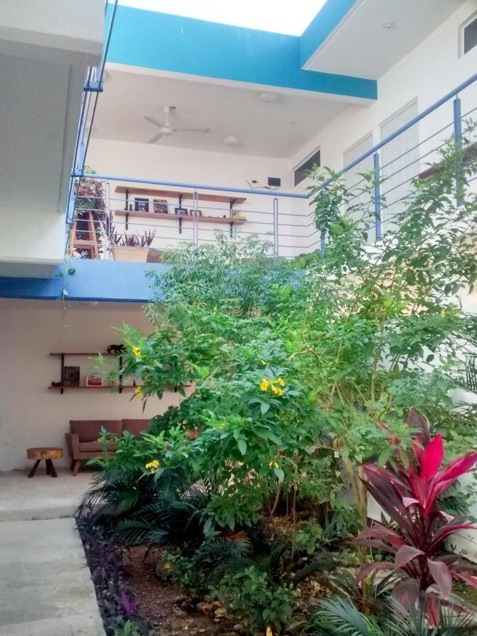 Bed & Breakfast Gran Jaguar *